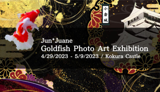 Goldfish Photo Art Exhibition in Kokura Castle