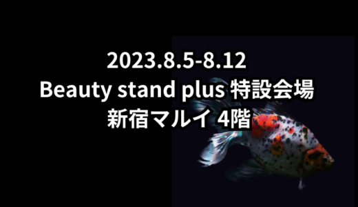 2023.8.5-8.12 Beauty stand plus 特設会場 (新宿マルイ)