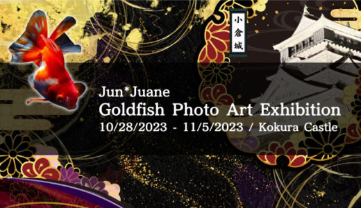 2nd，Goldfish Photo Art Exhibition in Kokura Castle
